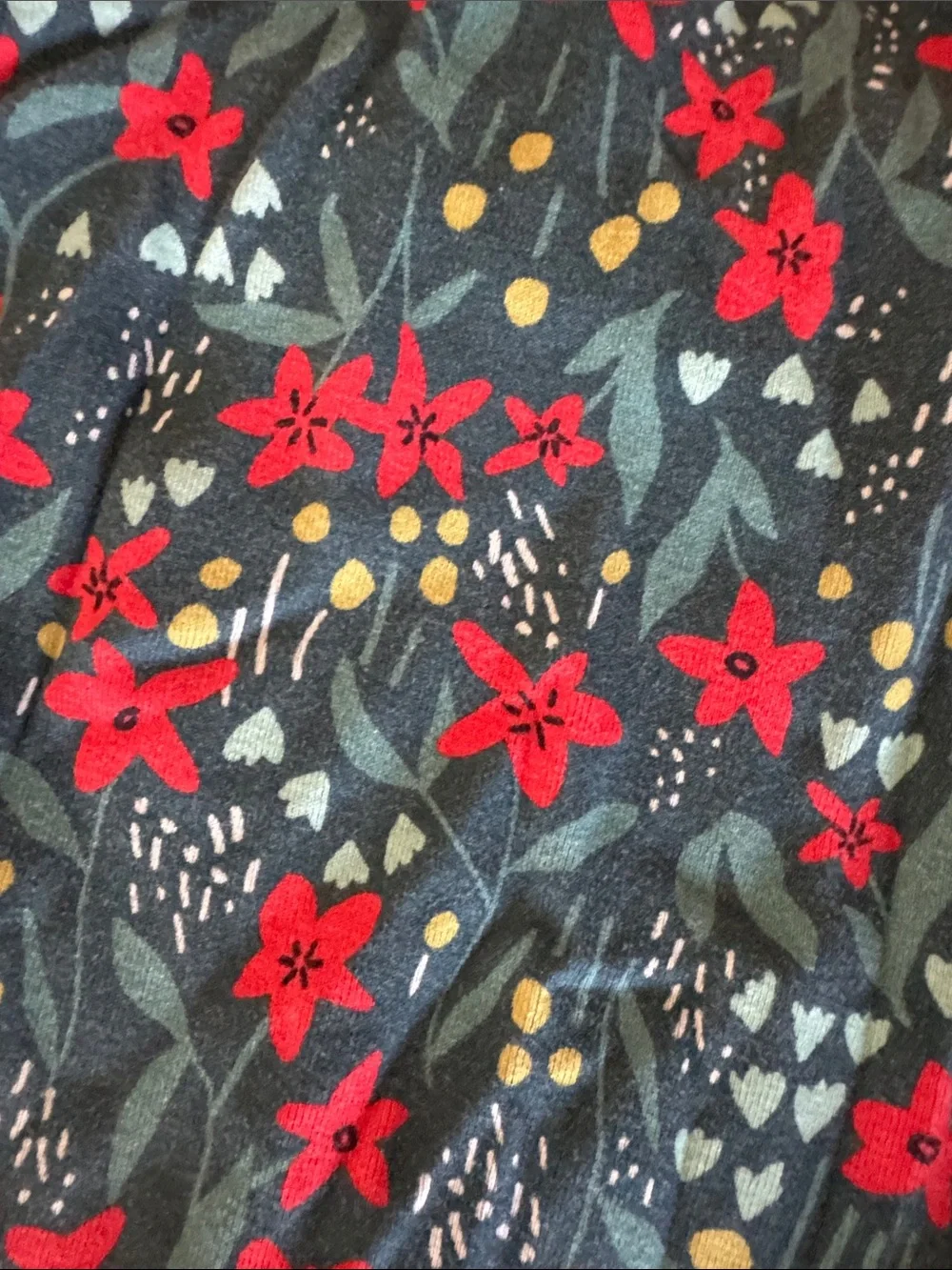 Hanna Andersson Green Floral Long Sleeve Pajama Set with Red Flowers
